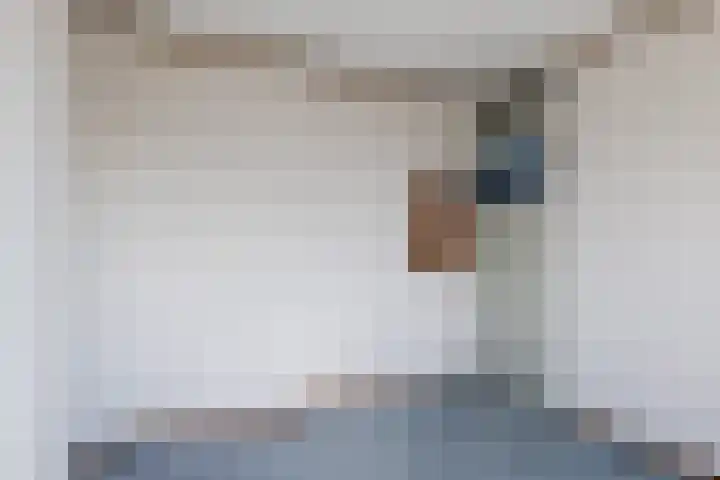 Albert Toriedreef 28 Meppel thumbnail 17