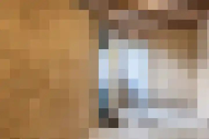 Albert Toriedreef 28 Meppel thumbnail 24