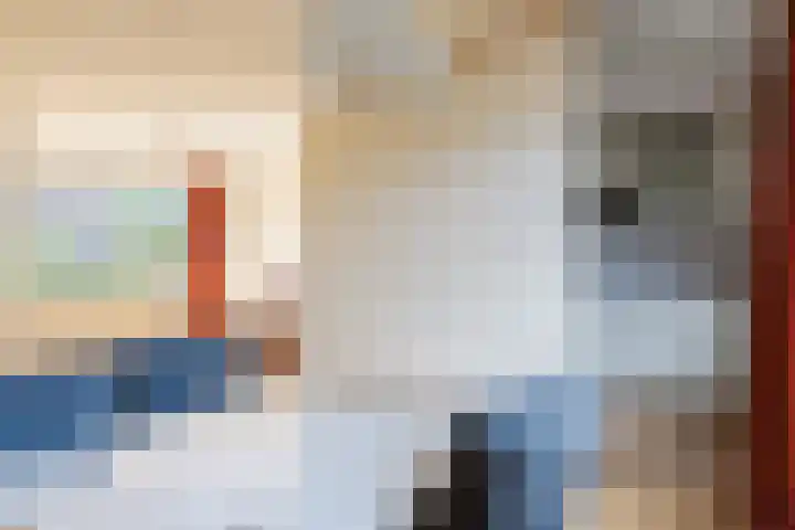 Albert Toriedreef 28 Meppel thumbnail 7