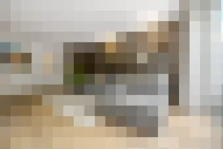 Albert Trouwborststraat 13 Nijmegen thumbnail 9