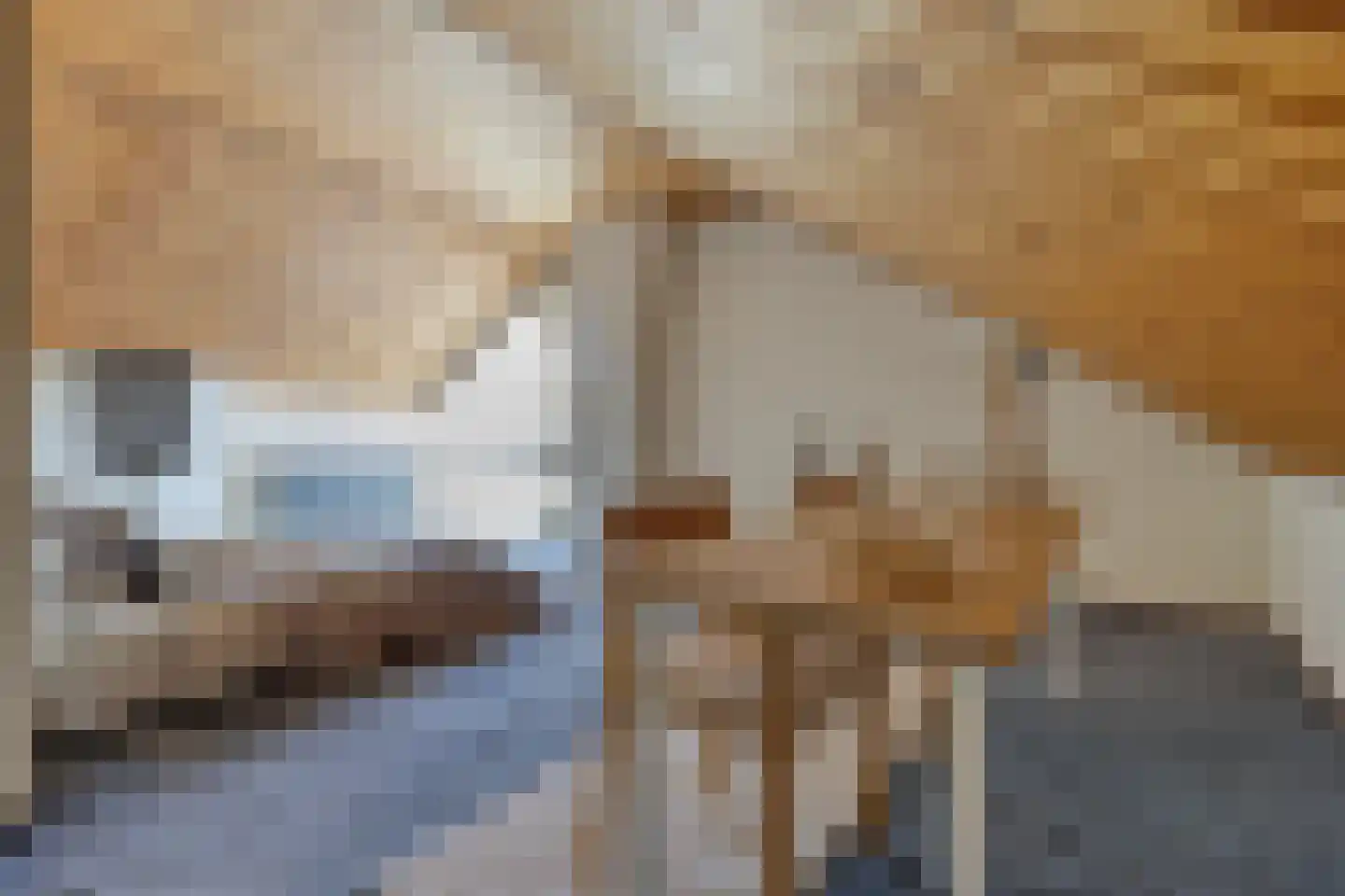 Albert van Cuijckstraat 19 Asten thumbnail 20
