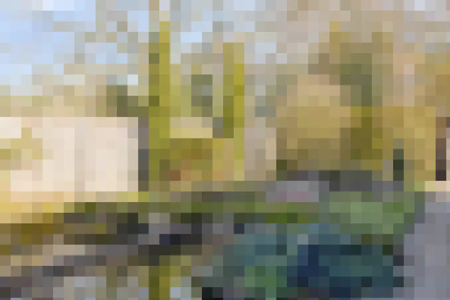 Albert van Cuijckstraat 19 Asten thumbnail 30