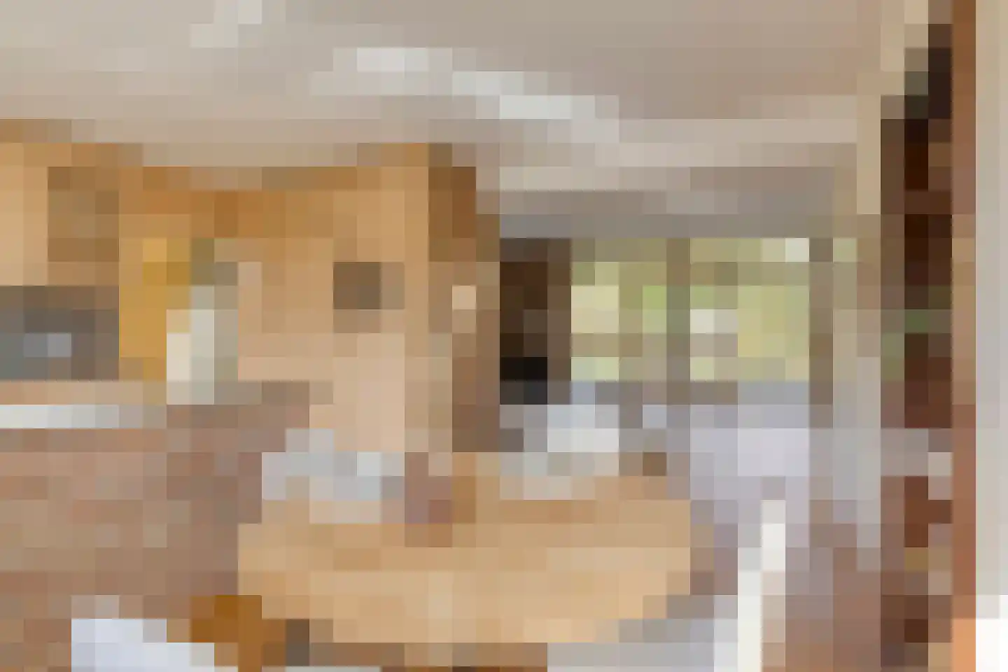 Albert van Cuijckstraat 19 Asten thumbnail 5