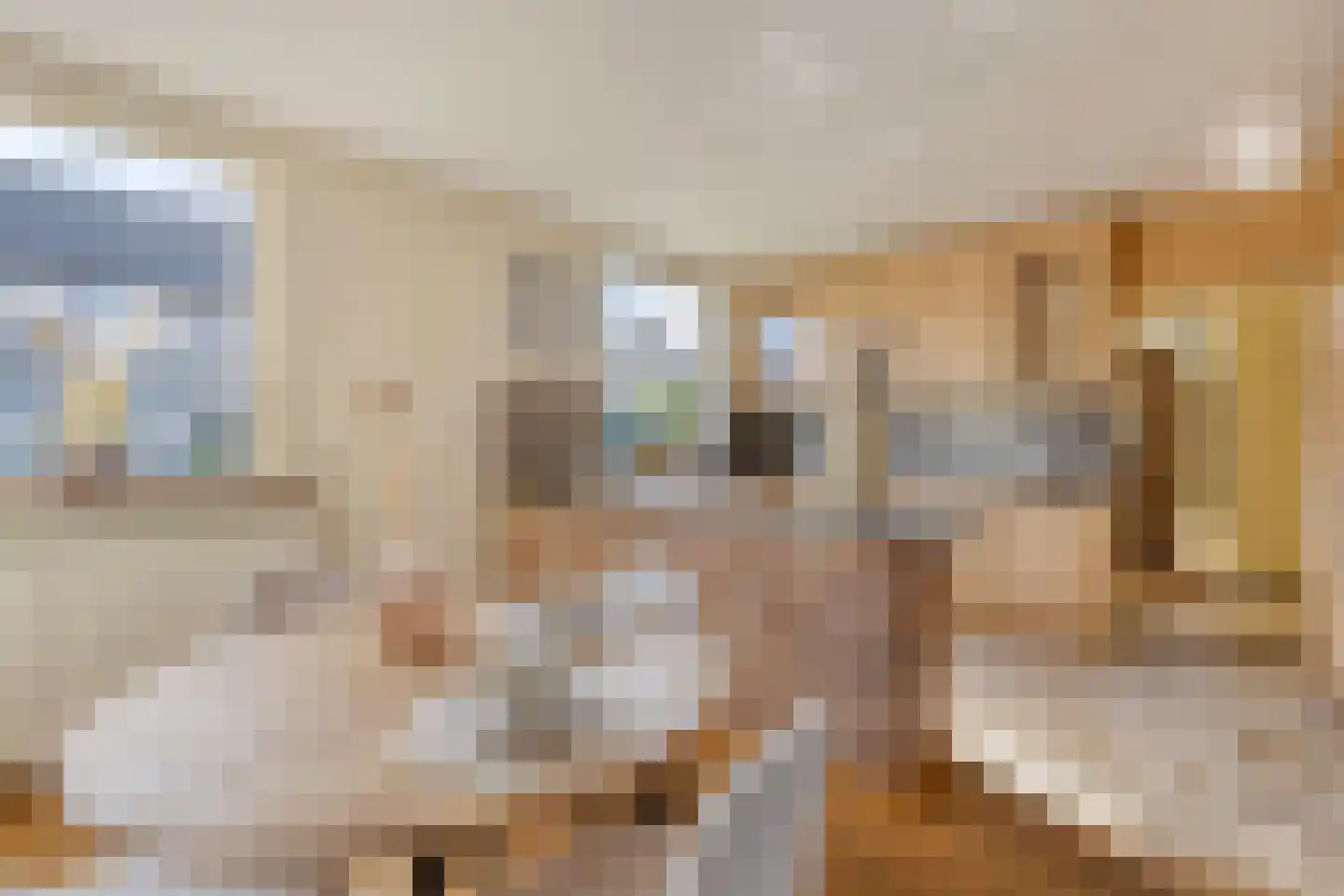 Albert van Cuijckstraat 19 Asten thumbnail 6