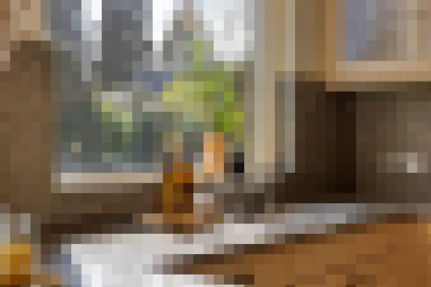 Albert van Cuijckstraat 19 Asten thumbnail 8