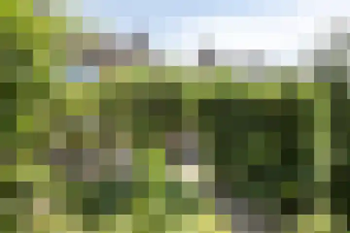 Albert van Cuijckstraat 59 Asten thumbnail 33