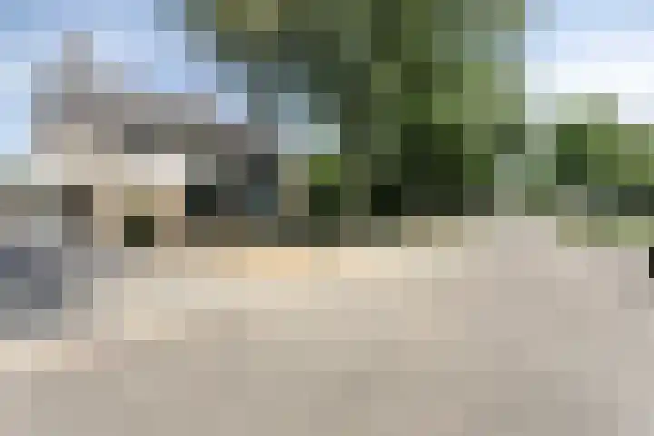Albert van Cuijckstraat 59 Asten thumbnail 35