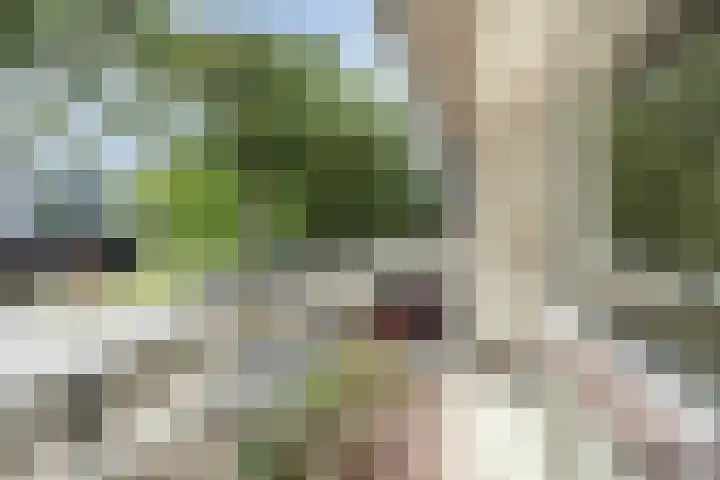 Albert van Cuijckstraat 59 Asten thumbnail 5