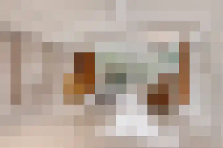Albert van Cuijckstraat 62 Asten thumbnail 11