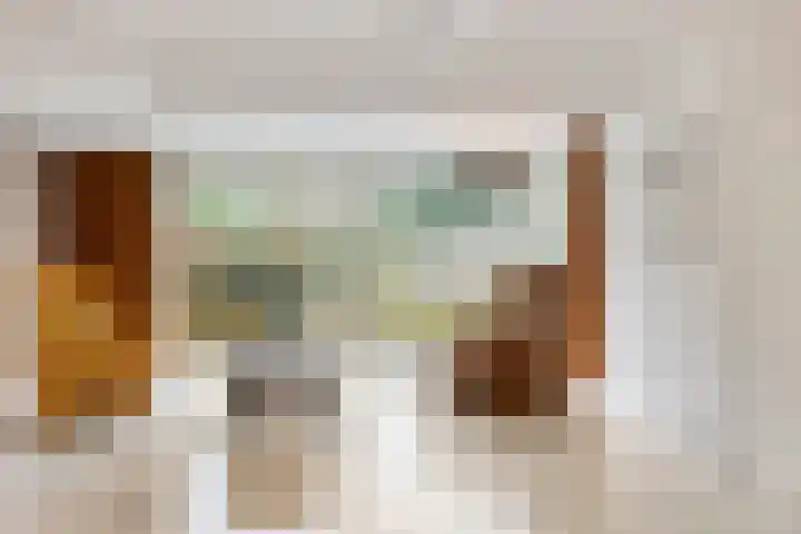 Albert van Cuijckstraat 62 Asten thumbnail 12