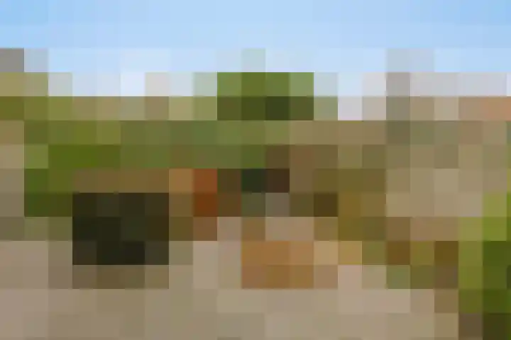 Albert van Cuijckstraat 62 Asten thumbnail 37