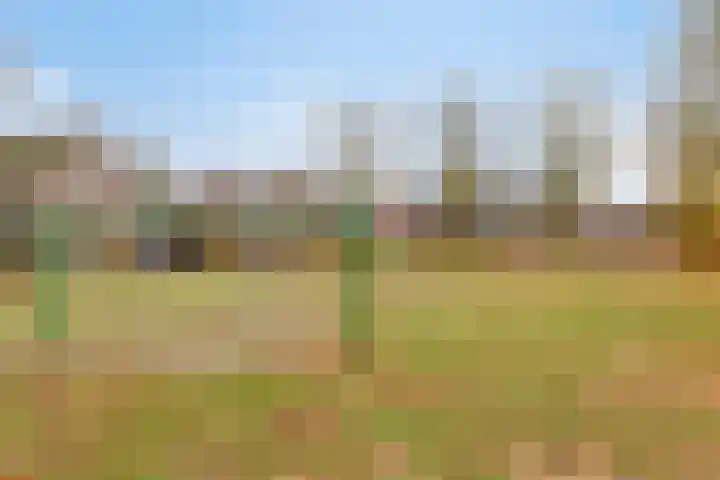 Albert van Cuijckstraat 62 Asten thumbnail 43