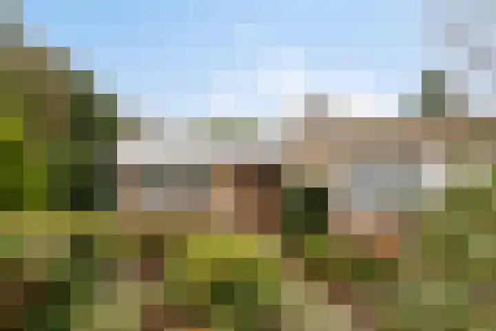 Albert van Cuijckstraat 62 Asten thumbnail 5