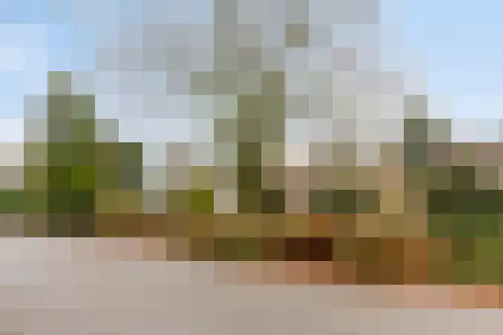 Albert van Cuijckstraat 62 Asten thumbnail 6