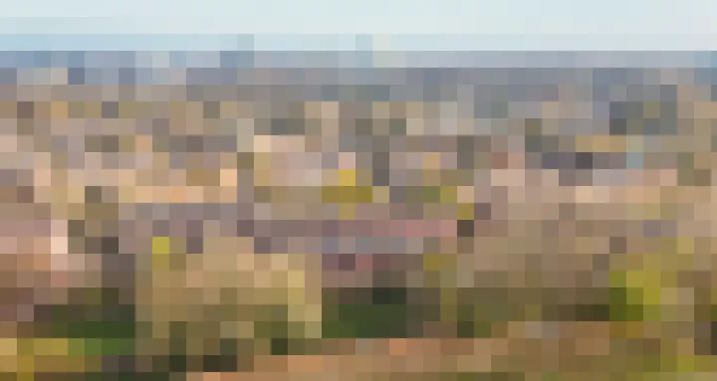 Albert van Dalsumlaan 151 Utrecht thumbnail 40