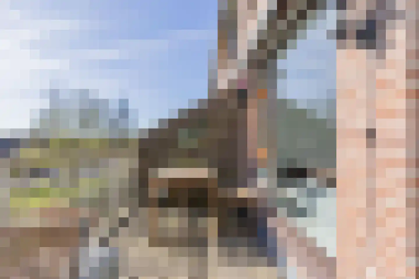 Albert van Dalsumlaan 165 Utrecht thumbnail 12