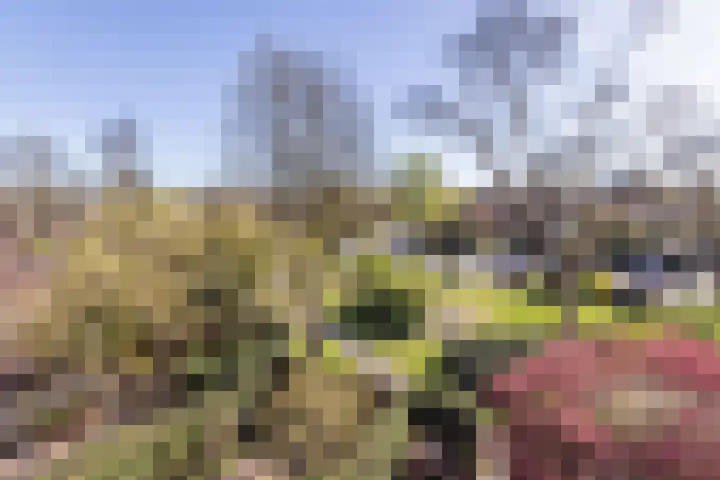 Albert van Dalsumlaan 165 Utrecht thumbnail 30