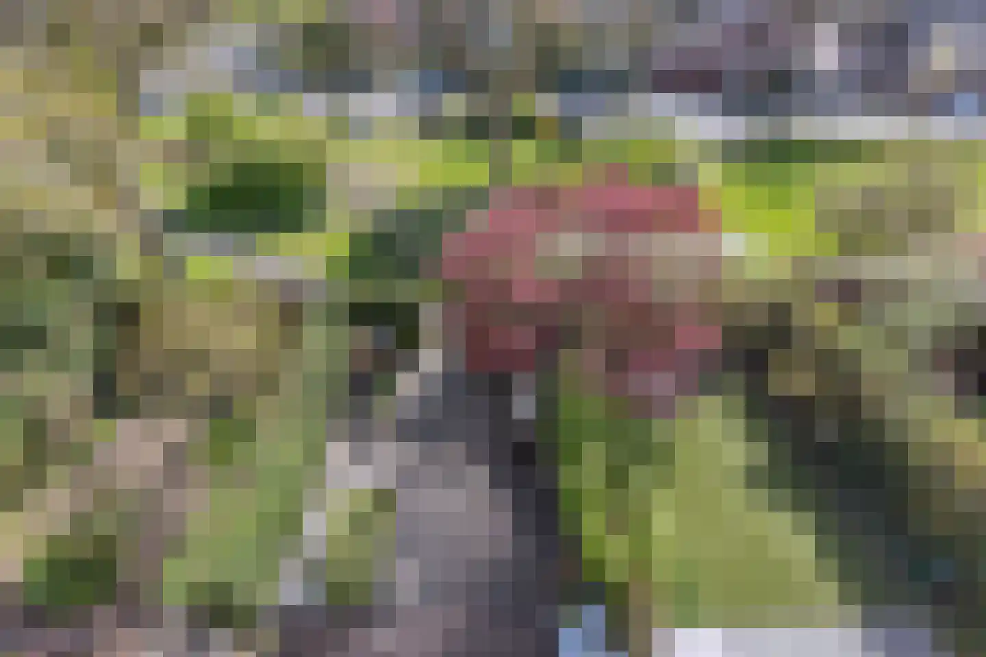 Albert van Dalsumlaan 165 Utrecht thumbnail 31