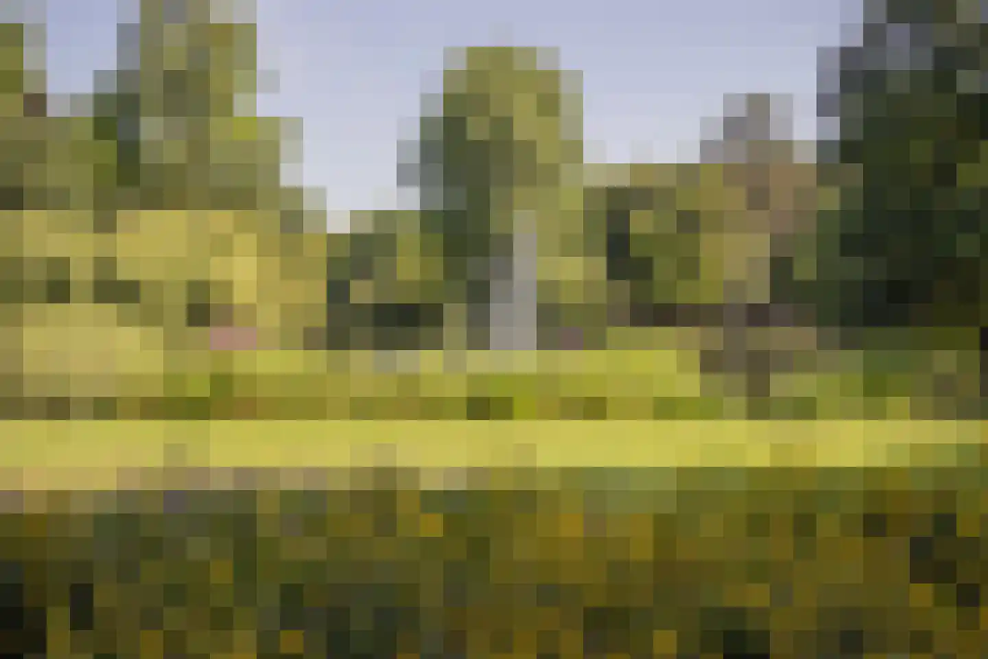 Albert van Dalsumlaan 165 Utrecht thumbnail 36