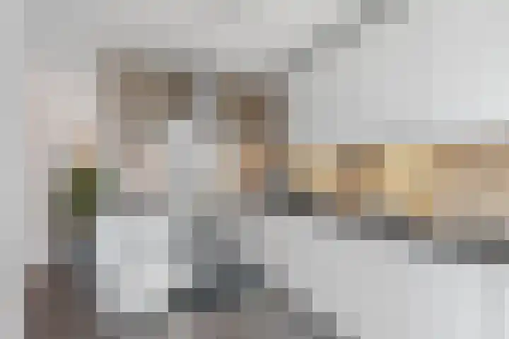 Albert van Dalsumlaan 21 Arnhem thumbnail 16
