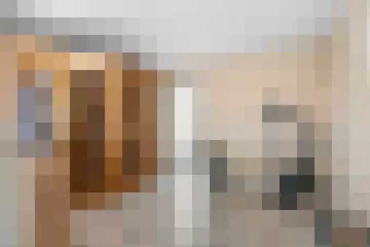 Albert van Dalsumlaan 21 Arnhem thumbnail 32