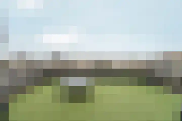 Albert van Dalsumlaan 21 Arnhem thumbnail 34