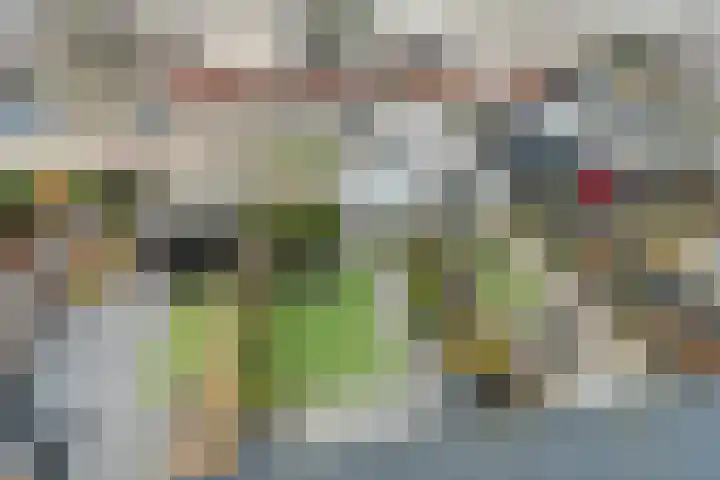 Albert van Dalsumlaan 21 Arnhem thumbnail 37