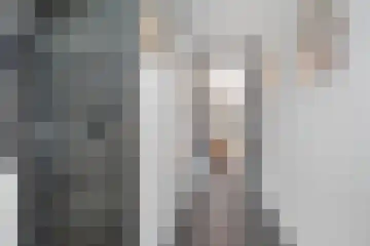 Albert van Dalsumlaan 21 Arnhem thumbnail 4