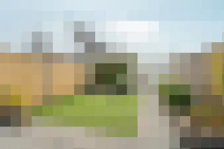 Albert van Dalsumlaan 21 Arnhem thumbnail 40