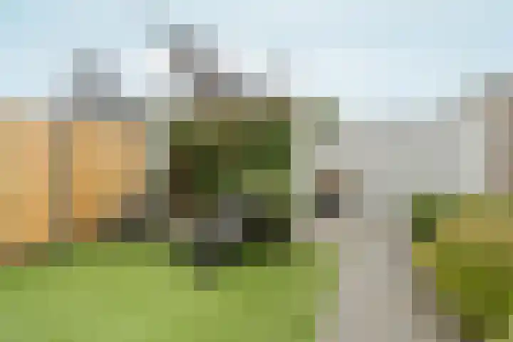 Albert van Dalsumlaan 21 Arnhem thumbnail 44