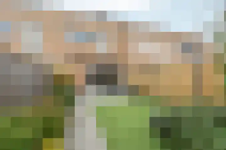 Albert van Dalsumlaan 21 Arnhem thumbnail 45