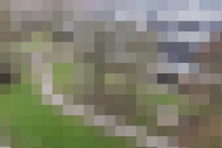 Albert van Dalsumlaan 21 Arnhem thumbnail 55