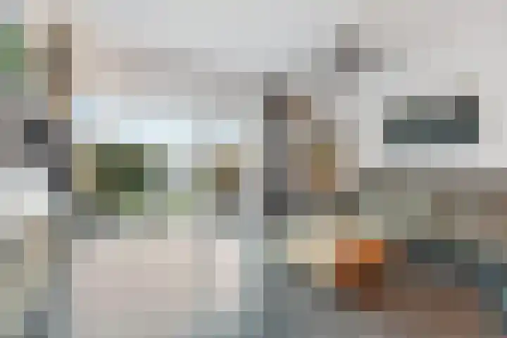 Albert van Dalsumlaan 21 Arnhem thumbnail 8