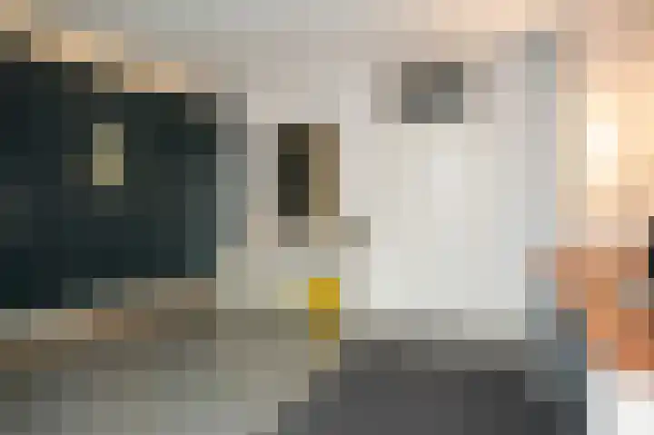 Albert van Dalsumlaan 215 Utrecht thumbnail 17
