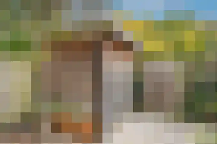 Albert van Dalsumlaan 215 Utrecht thumbnail 26