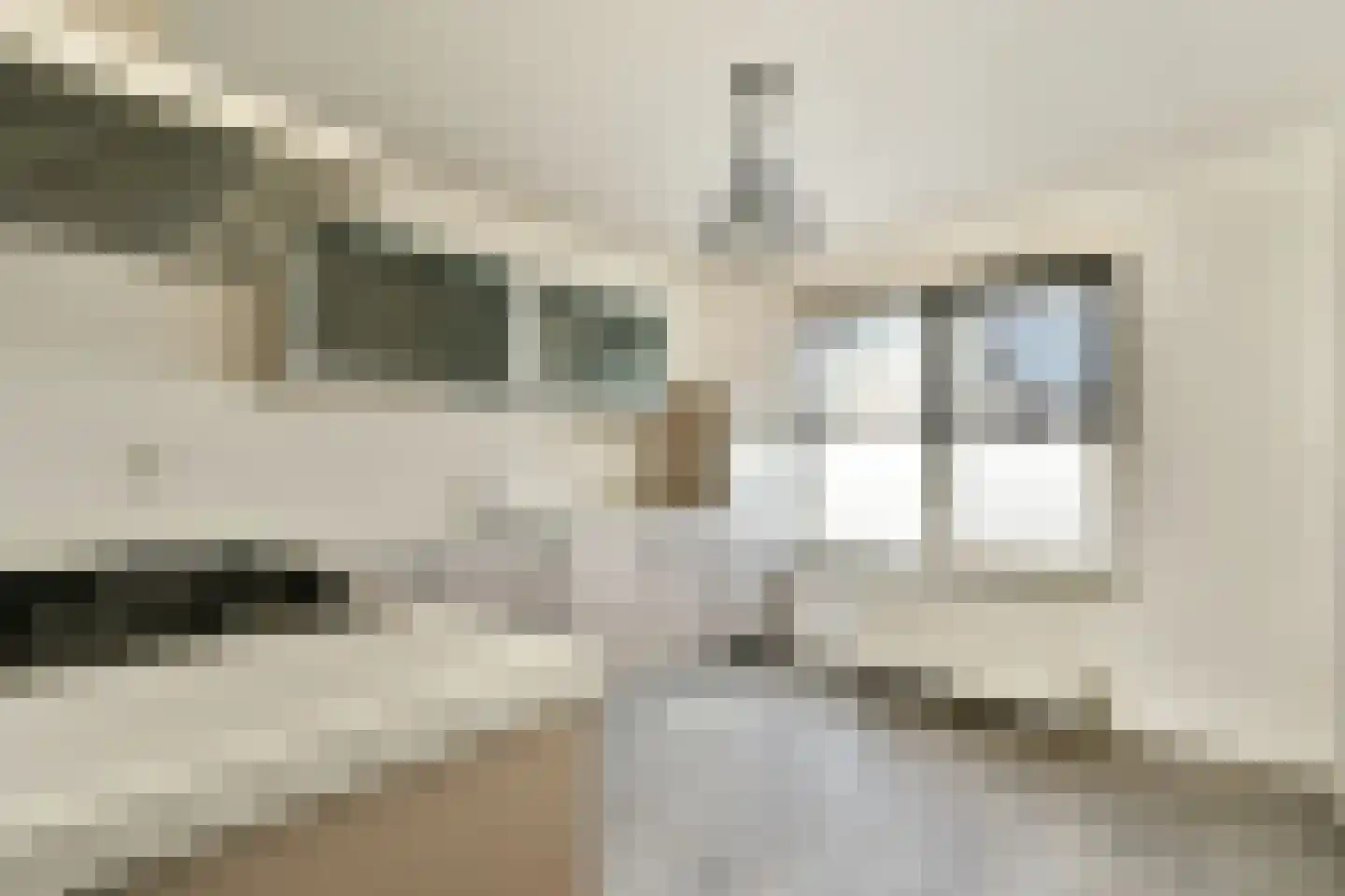 Albert van Dalsumlaan 23 Arnhem thumbnail 12