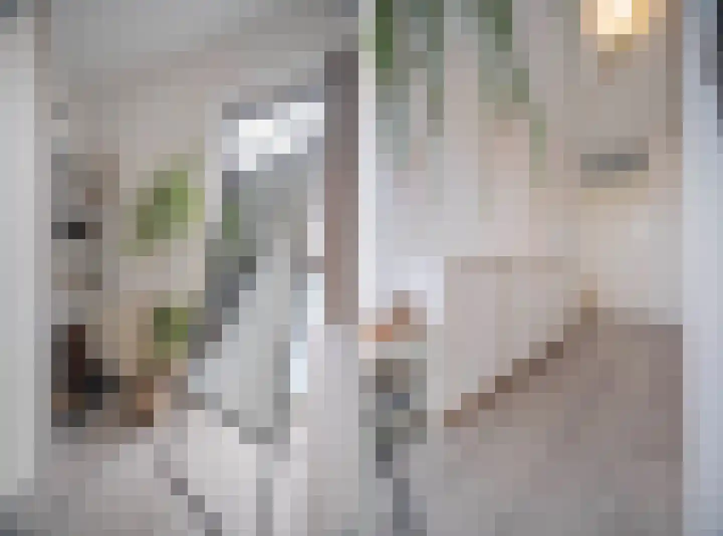 Albert van Dalsumlaan 23 Arnhem thumbnail 38