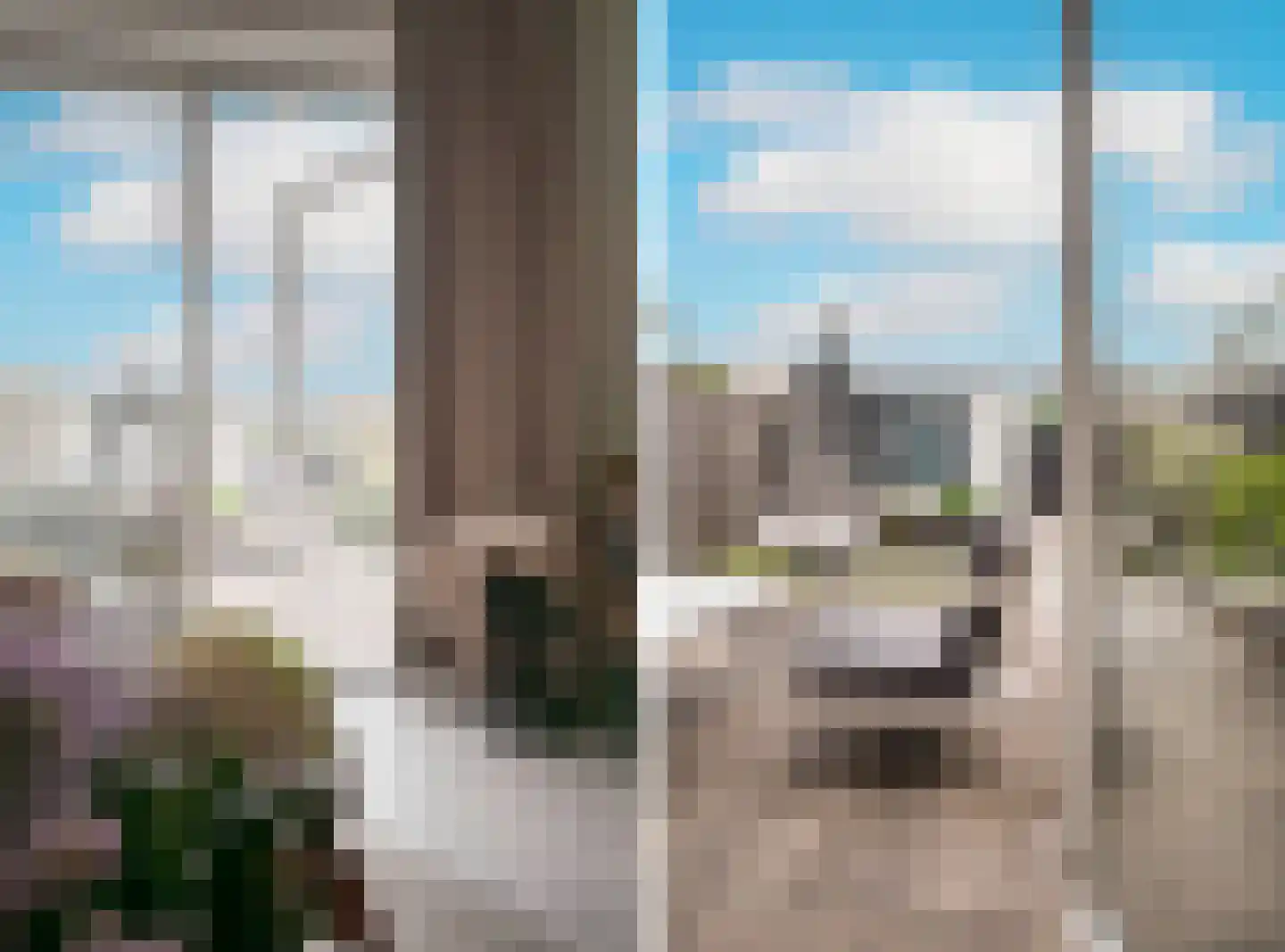 Albert van Dalsumlaan 23 Arnhem thumbnail 50