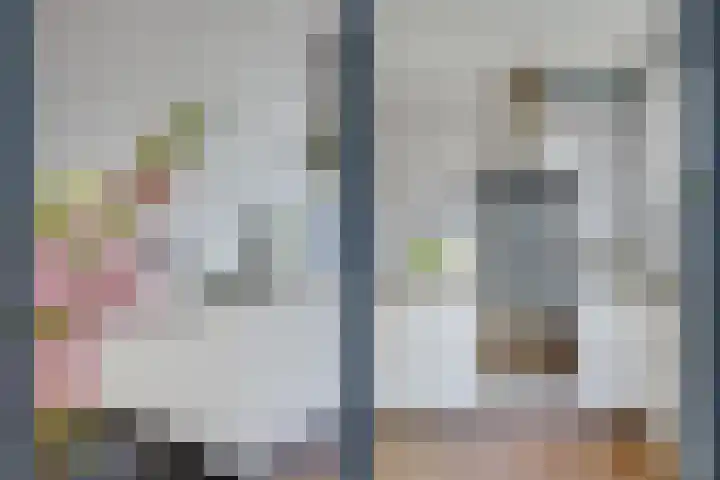 Albert van Dalsumlaan 237 Utrecht thumbnail 14