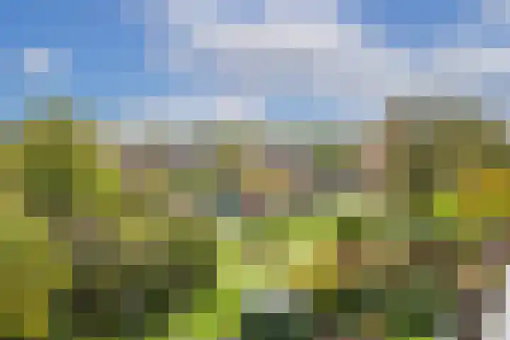 Albert van Dalsumlaan 237 Utrecht thumbnail 20
