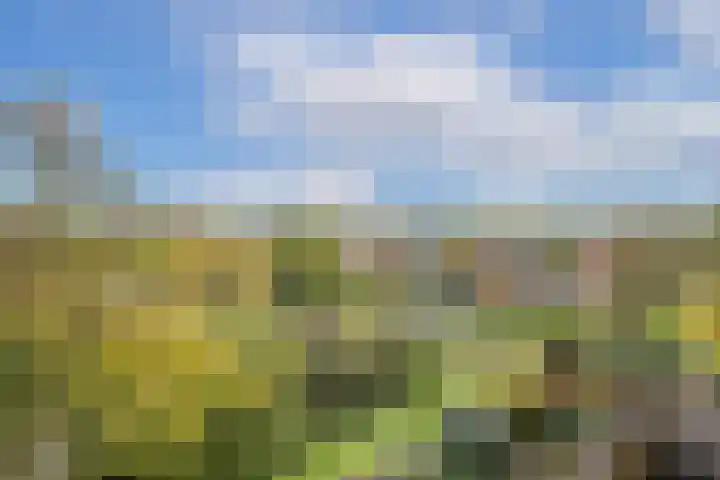 Albert van Dalsumlaan 237 Utrecht thumbnail 24