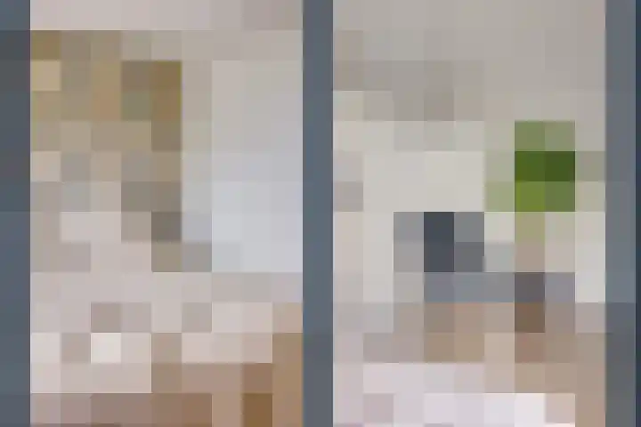 Albert van Dalsumlaan 237 Utrecht thumbnail 25