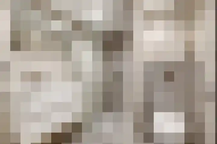 Albert van Dalsumlaan 237 Utrecht thumbnail 27