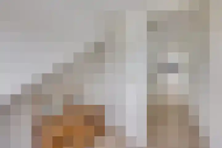 Albert van Dalsumlaan 237 Utrecht thumbnail 31