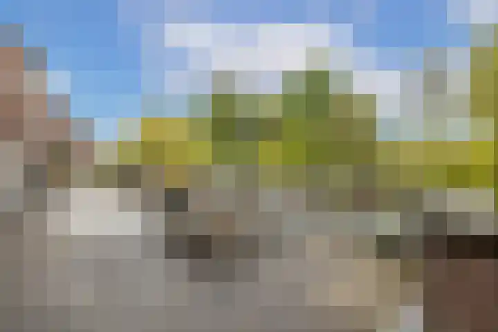 Albert van Dalsumlaan 237 Utrecht thumbnail 38