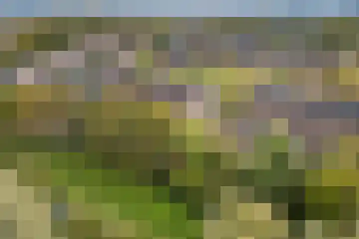 Albert van Dalsumlaan 237 Utrecht thumbnail 39