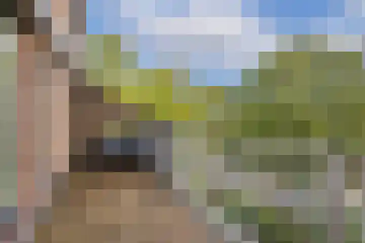 Albert van Dalsumlaan 237 Utrecht thumbnail 4