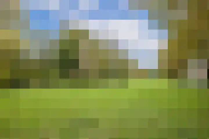 Albert van Dalsumlaan 237 Utrecht thumbnail 43