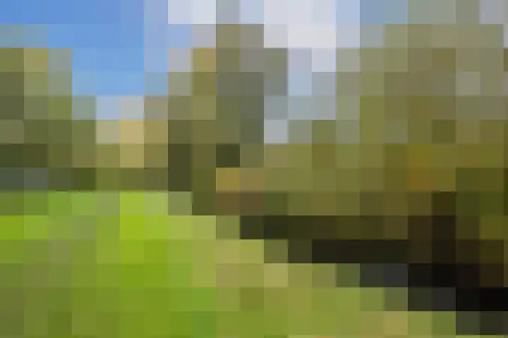 Albert van Dalsumlaan 237 Utrecht thumbnail 44