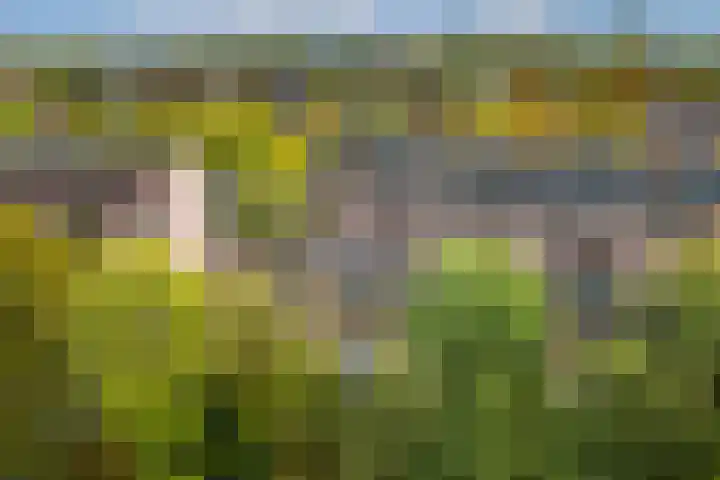 Albert van Dalsumlaan 237 Utrecht thumbnail 45